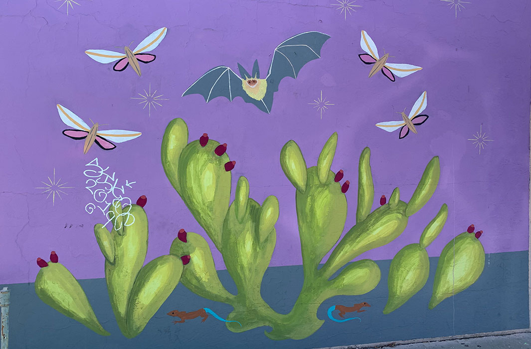 mural of bats and prickly pear