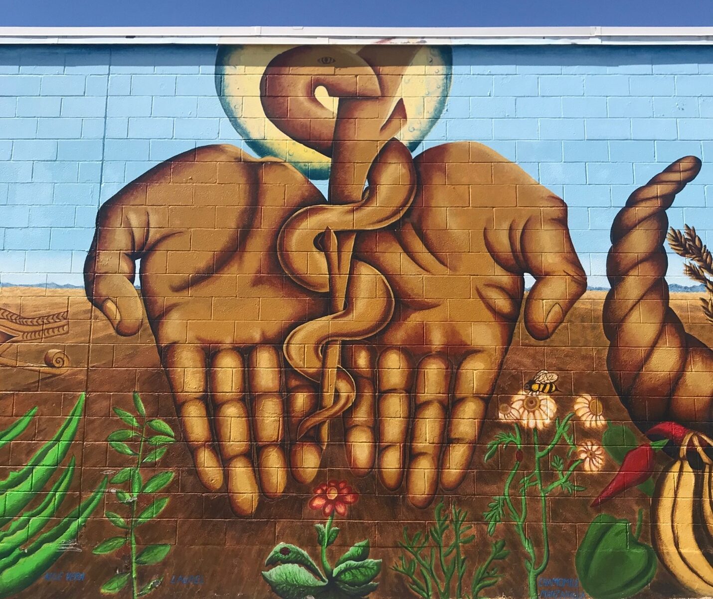 Healing Hands and Rod of Asclepius in desert landscape